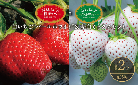 [数量限定]白いちご"パールホワイト"&赤白ミックスセット(合計2パック) BELL RICH