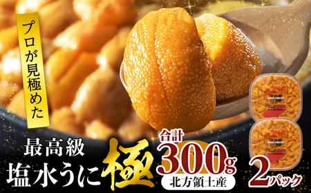 �y�N�������z��v�����I��ō�����������(��)�v300g_H0014-004-12