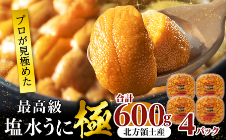 �y�N�������z��v�����I��ō�����������(��)�v600g_H0014-006-12