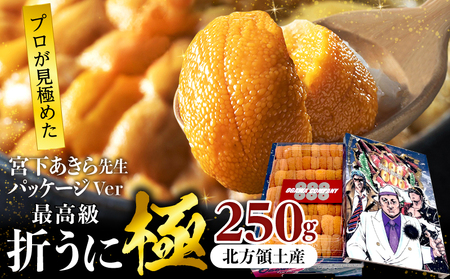 ≪プロ厳選≫最高級折うに(極)宮下あきら先生パッケージVer計250g うに ウニ 雲丹 折うに 海鮮 海産物 北海道 浜中町 ふるさと納税 人気