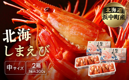 kC܂() 300g×2Zbg(117O)_H0001-009
