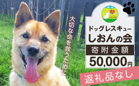 [野犬の保護活動]浜中町「ドッグレスキューしおんの会」を支援 50000円分 返礼品なし