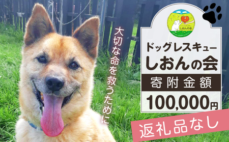 [野犬の保護活動]浜中町「ドッグレスキューしおんの会」を支援 100000円分 返礼品なし