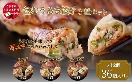 包むうるま餃子 3種セット(島餃子・鶏塩餃子・チャンプルー餃子)