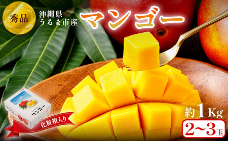 沖縄県 うるま市産 完熟 マンゴー 秀品 1kg[2025年発送]