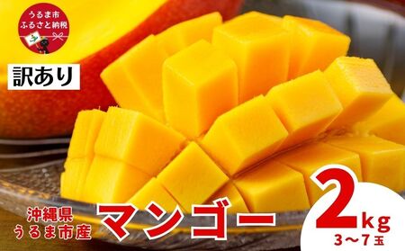 沖縄県 うるま市産 完熟 マンゴー 訳あり品 2kg