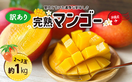 [熱帯資源植物研究所]訳ありマンゴー1kg
