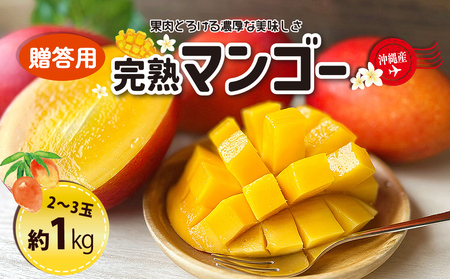 [熱帯資源植物研究所]贈答用マンゴー1kg