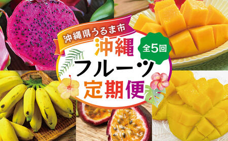 沖縄フルーツ定期便[全5回]
