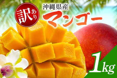 [ 先行予約 2026年発送 ]訳ありマンゴー 1kg