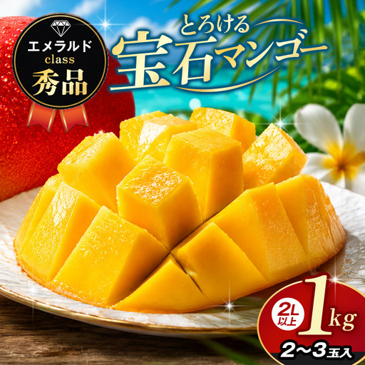 ぼうけんの国 宝石マンゴー [秀品]アーウィンマンゴー エメラルドclass 約1kg ku01-003
