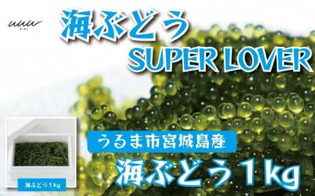 海ぶどうSuperLover 大容量1kgパック[2024年4月より順次発送]