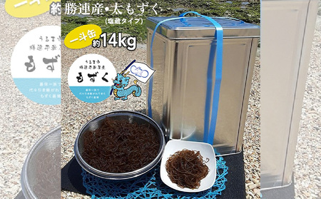 勝連産・太もずく(塩蔵タイプ) 約14kg一斗缶入り[嘉保水産]