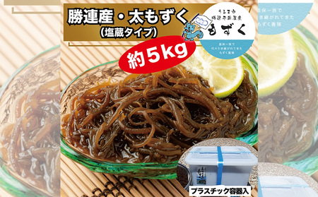 勝連産・太もずく(塩蔵タイプ)約5kg プラスチック容器入り[嘉保水産]