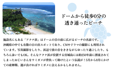 yglampark resort ANilzPf܂viPSlj@@][g@oP[V@h@ze@s@r[`@C@썑@OsO