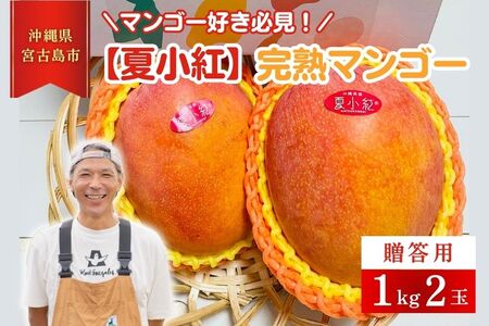 HZ001[檬果家]マンゴー好き必見!沖縄限定 希少品種[夏小紅]1kg2玉 贈答用