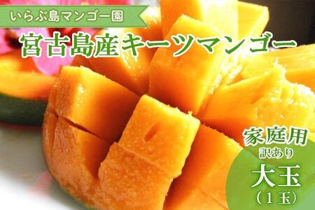 �y��s��t�z��2026�N����������ԓ��}���S�[���@�{�Ó��Y�g�L�[�c�}���S�[�h�s�ƒ�p�t���1�ʁ@900g�ȏ�iHR08�j