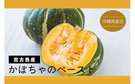 宮古島産かぼちゃペースト(冷凍1kg×14パック計14kg)