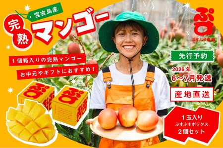 yՂՂ_z2026Ns\񁄋{ÓYn}S[1ʓ×2Zbgi_jiKY005j