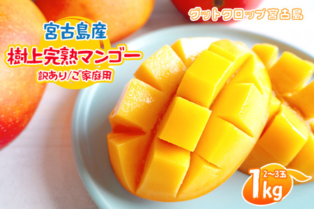 SG004 2026NĔ {ÓY㊮n}S[i󂠂/ƒpj1kgi2`3ʁjObgNbv{Ó