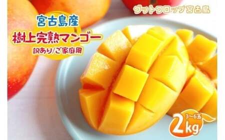 SG005 2026NĔ {ÓY㊮n}S[i󂠂/ƒpj2kgi3`6ʁjObgNbv{Ó