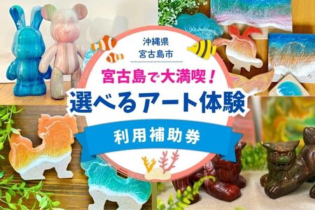 YH005@{Óő喞iIMelty ArtIׂ闘pi3,000~j