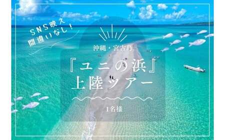 SB01yE{ÓzSNSfԈႢȂIwj̕lx㗤cA[i1lj