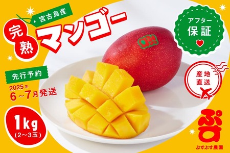 KY006[ぷすぷす農園]宮古島産完熟マンゴーお中元セット(家庭用/1キロ×10セット/農園直送)