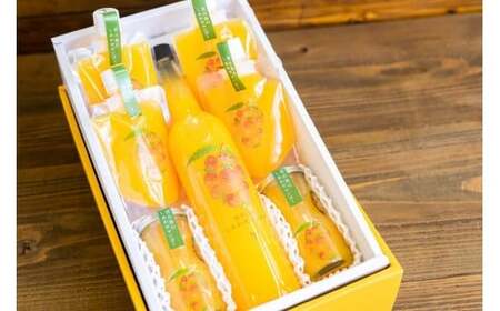 {Ó̂킹}S[@悭΂oGeBZbg(T115)