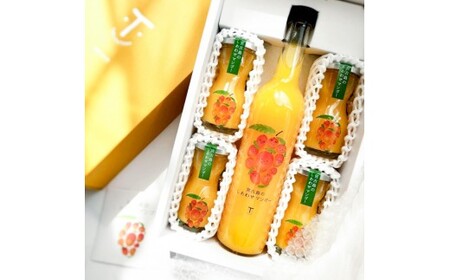 {Ó̂킹}S[@킹Zbg(T117)