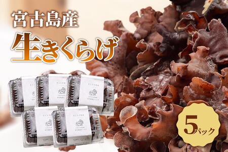 �{�Ó��Y�������炰�i�T�p�b�N�j�iKD01�j