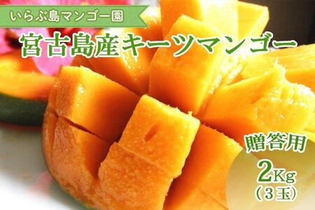 �y��s��t�z��2026�N����������ԓ��}���S�[���@�{�Ó��Y�g�L�[�c�}���S�[�h�s�����p�t2kg�iHR07�j