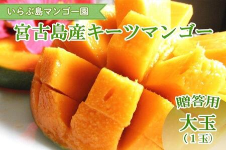 �y��s��t�z��2026�N����������ԓ��}���S�[���@�{�Ó��Y �g�L�[�c�}���S�[�h�s�����p�t���1�ʁiHR06�j