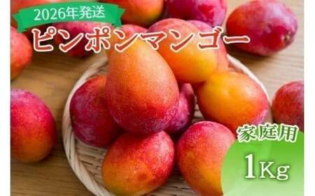 [先行予約][2026年発送]いらぶ島マンゴー園 宮古島産“ピンポンマンゴー"家庭用 / 訳アリ(1kg)(HR02)