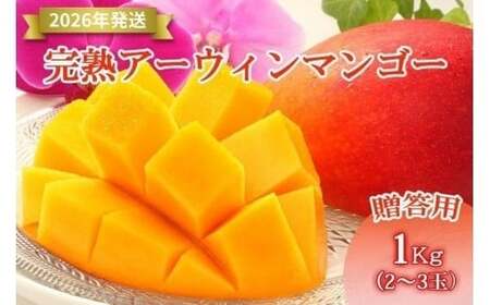 �y��s��t�z��2026�N����������ԓ��}���S�[���@�{�Ó��Y�g���n�A�[�E�B���}���S�[�h�s�����p�t1kg�iHR03�j