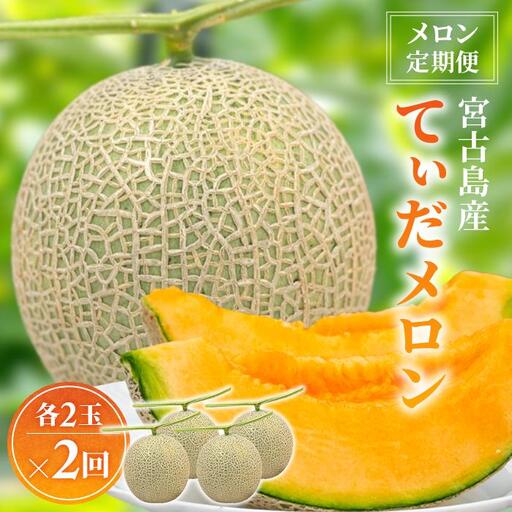 【メロン定期便】＜先行受付＞宮古島産てぃだメロン 2玉《2026年冬・2027年春発送》＜8farm＞（JC007）