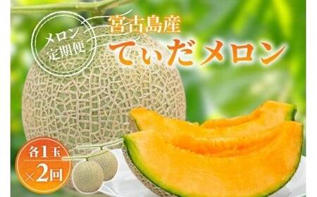 [メロン定期便][先行受付]宮古島産てぃだメロン 1玉[2026年冬・2027年春発送][8farm]