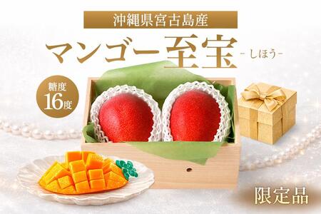 沖縄宮古島産 プレミアムマンゴー「マンゴー至宝(しほう)」(琉球マルシェ)