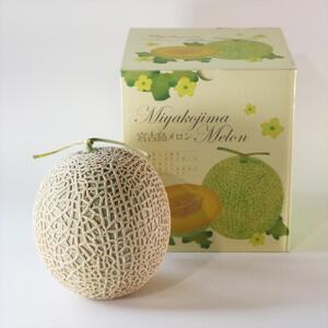 沖縄県宮古島産 春メロン[特大1玉]|贈答用・高級・赤肉メロン(琉球マルシェ)