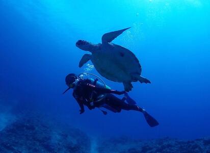 体験ダイビング（２ボートダイブ）マールプロモーション（MA01）