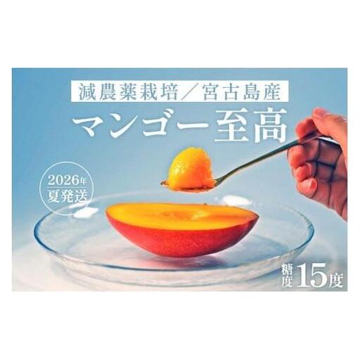 《先行予約》沖縄県宮古島産 減農薬栽培マンゴー 2kg【最良品】｜贈答用・糖度15度以上！｜琉球マルシェ