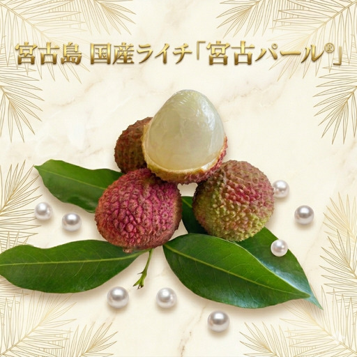 宮古島 国産ライチ 「宮古パール®」(9粒)(PF01)