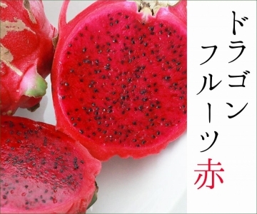 沖縄・宮古島産｜ドラゴンフルーツ（赤）5kg【2024年夏発送】