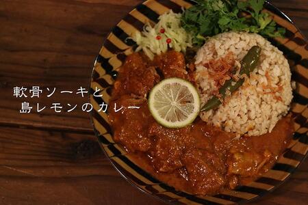 MOSESU CURRYの島カレーシリーズ　軟骨ソーキと島レモンのカレー 250g（6食入り）