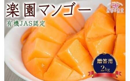 DQ015ss\t2026N L@JASF؃}S[iA[EBjp 2kgyỷʎz