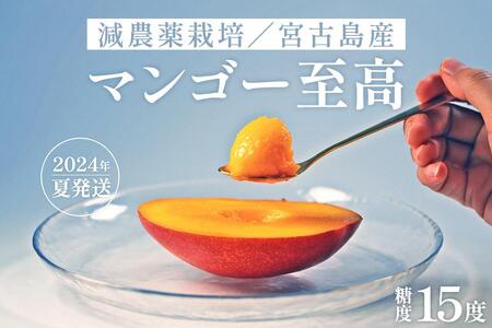 [先行予約]沖縄・宮古島 減農薬栽培マンゴー 1kg[最良品]|贈答用・糖度15度以上!|琉球マルシェ