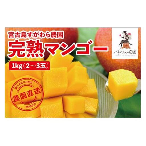 宮古島すがわら農園　完熟マンゴー1kg（2～3玉）（FR006）