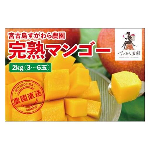 宮古島すがわら農園　完熟マンゴー2kg（3～6玉）（FR007）