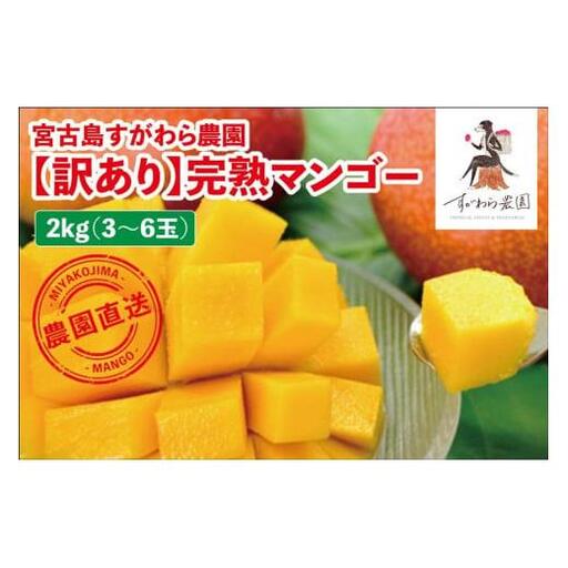 宮古島すがわら農園　【訳あり】完熟マンゴー２kg（3～6玉）（FR004）