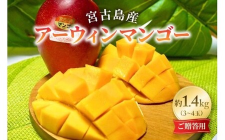 �s��s�\�� 2026�N�����t�w�V�g�̃}���S�[�x�{�Ó��Y�A�[�E�B���}���S�[ ��1.4kg �i3�ʁ`4�ʁj�y�������p�z�uLA MANGUE BLEUE�v�_�ƒ����iGZ001�j